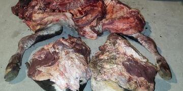 Tres detenidos en El Fuertecito por abigeato