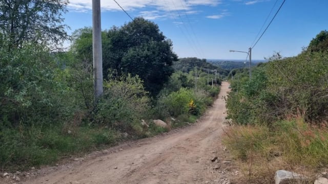 Un exótico animal fue encontrado en Río Ceballos.