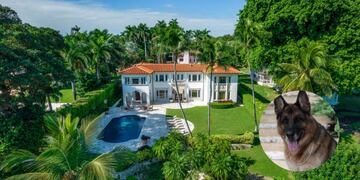 Era de Madonna y cuesta 28 millones de euros: así es la mansión del perro más rico del mundo