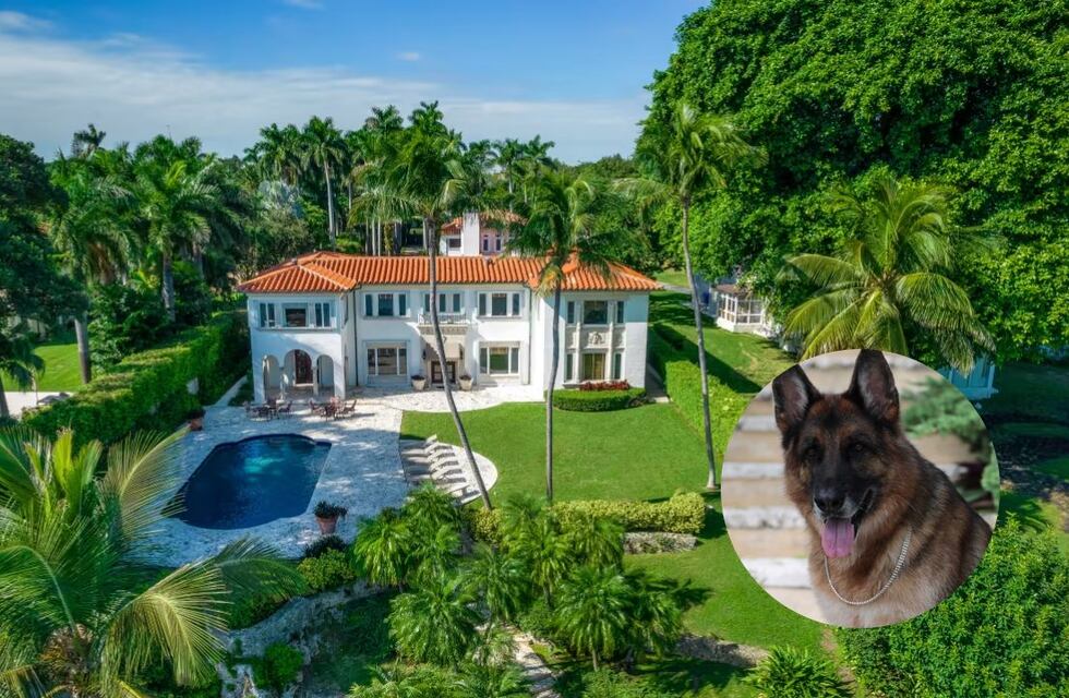 Era de Madonna y cuesta 28 millones de euros: así es la mansión del perro más rico del mundo