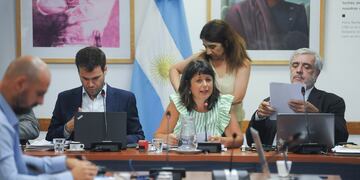 La diputada Carolina Gaillard, presidenta de la Comisión de Juicio Político (Foto: Federico López Claro)
