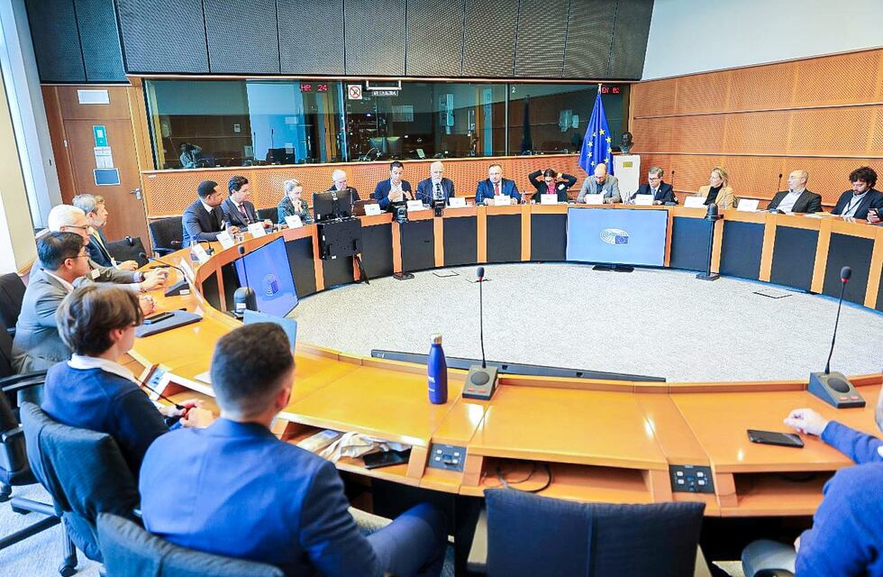 Tierra del Fuego expuso en el Parlamento Europeo sobre cooperación internacional