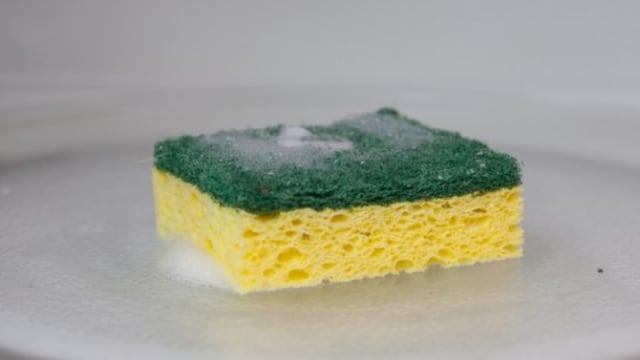 Torta esponja