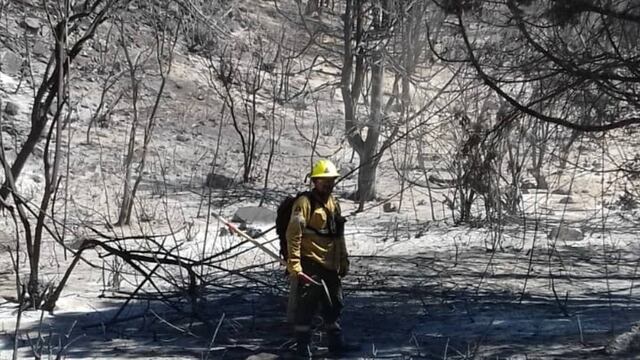 Las llamas consumieron casi 6 mil hectáreas (SPLIF Río Negro).