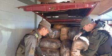 Tras allanamiento en Jardín América, incautan más de una tonelada de marihuana.