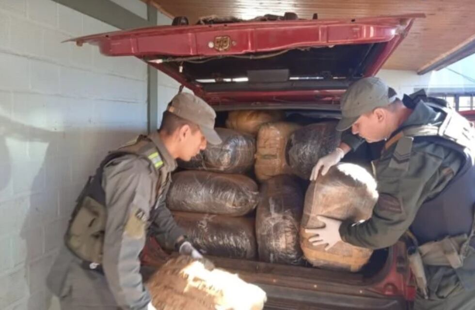 Tras allanamiento en Jardín América, incautan más de una tonelada de marihuana