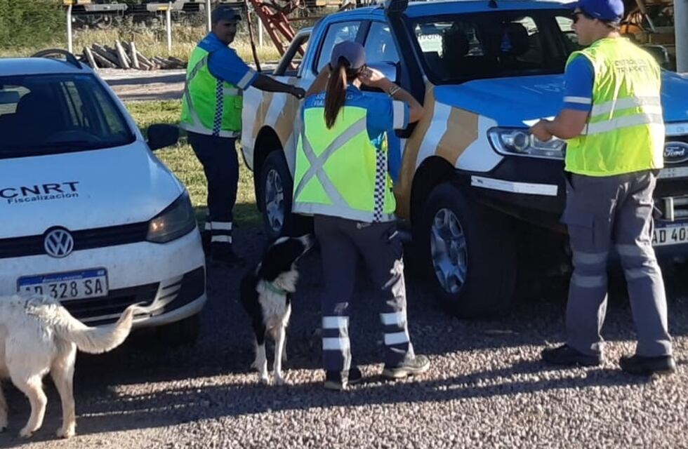 Conductor de un camión dio positivo de alcoholemia en ruta nacional 3