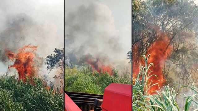 No llovió en Andresito y continúa habíendo puntos de fuego activos