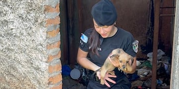 Rescataron a una cachorra atrapada en un tanque de agua en Oberá.