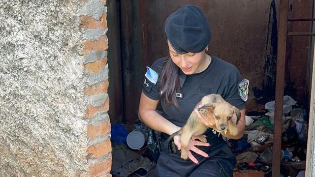 Rescataron a una cachorra atrapada en un tanque de agua en Oberá.