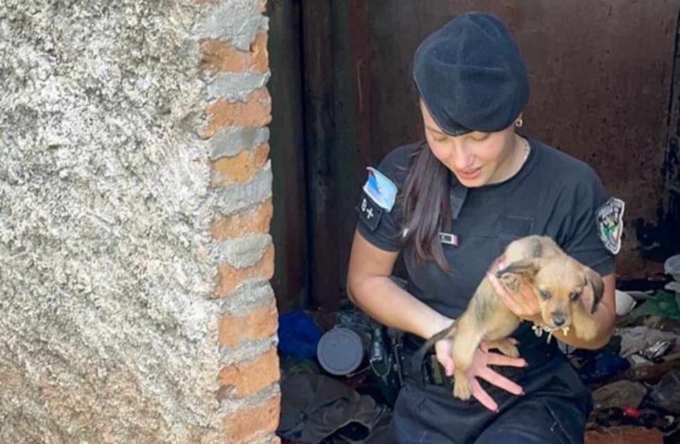 Rescataron a una cachorra atrapada en un tanque de agua en Oberá