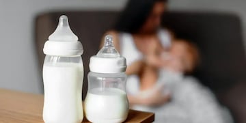 Hay un "vampiro blanco" en Río Negro que busca mujeres lactantes para beber su leche.