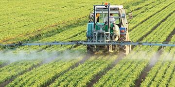 Fumigaciones para control de malezas