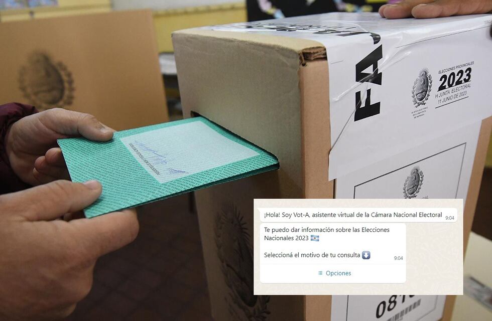 Lanzan un ChatBot en WhatsApp para las Elecciones 2023: cómo se instala y qué usos se le puede dar