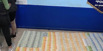 Detienen a una empelada doméstica que le habría robado dinero a su patrón en Posadas.