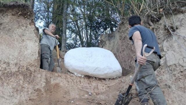 El importante fósil fue encontrado en la localidad santafesina de Fighiera.