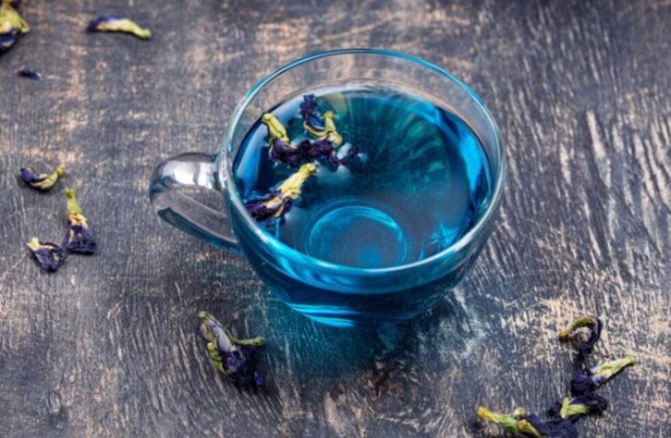 Té azul: la infusión que mejora el estado de ánimo y ayuda en la diabetes