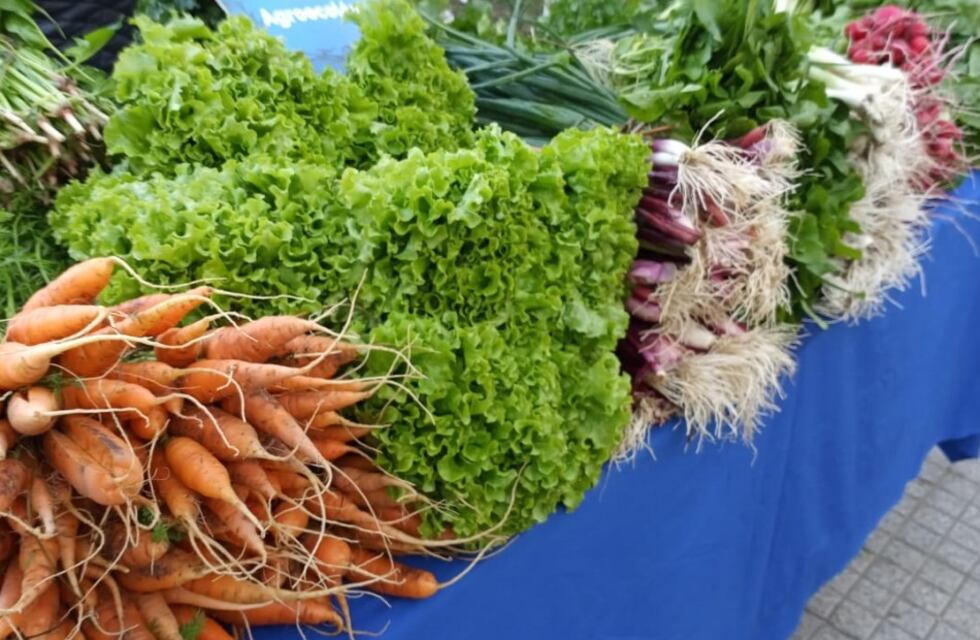 Un proyecto de agricultura urbana en Rosario fue premiado con 250.000 dólares