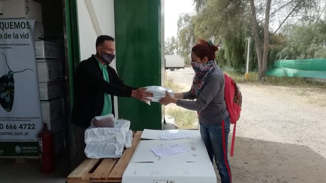 El Iscamen comenzó con la campaña de control de la polilla de la vid. Distribuyen a productores difusores de feronomas e insecticidas. Gobierno de Mendoza