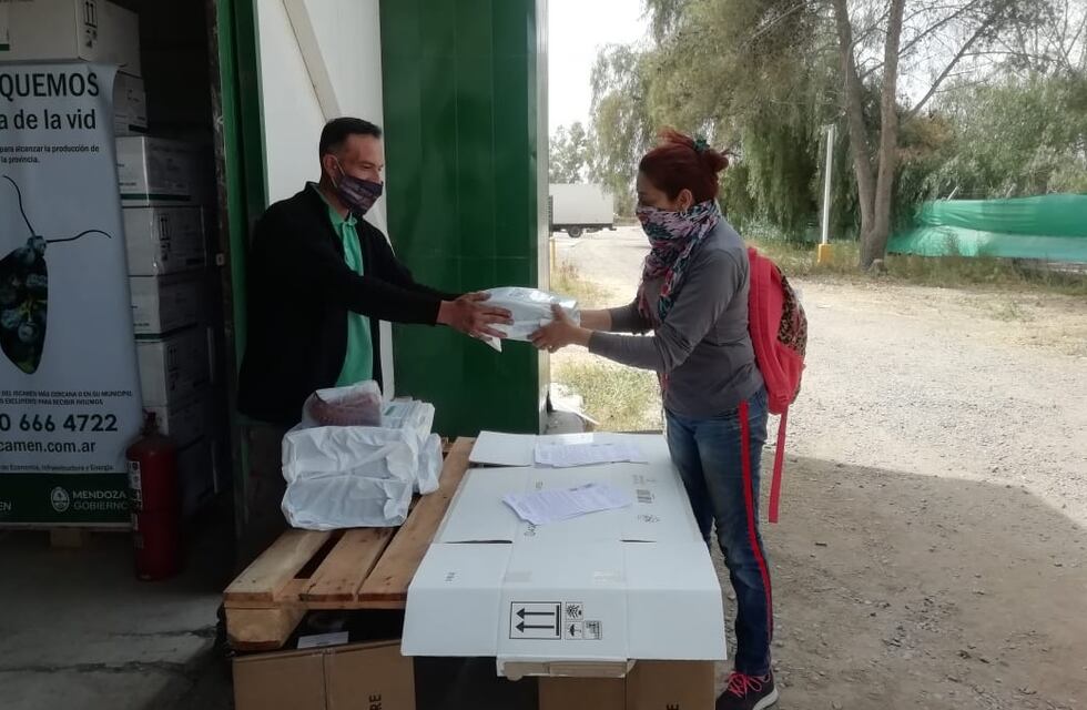 Lanzaron la campaña 2021/2022 contra la polilla de la vid