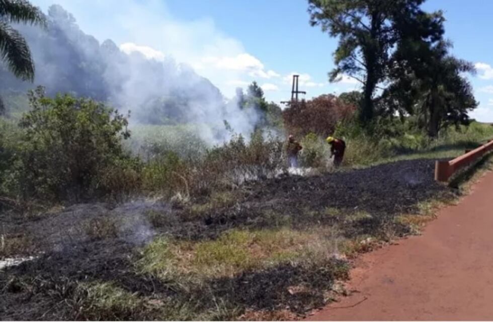 Puerto Libertad: incendio de pastizales cerca de una comunidad Mbyá