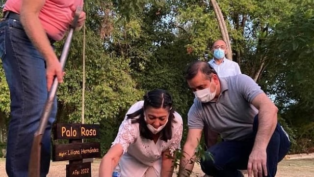 Herrera Ahuad visitó Comandante Andresito, entregó vehículos y plantó árboles en la localidad.