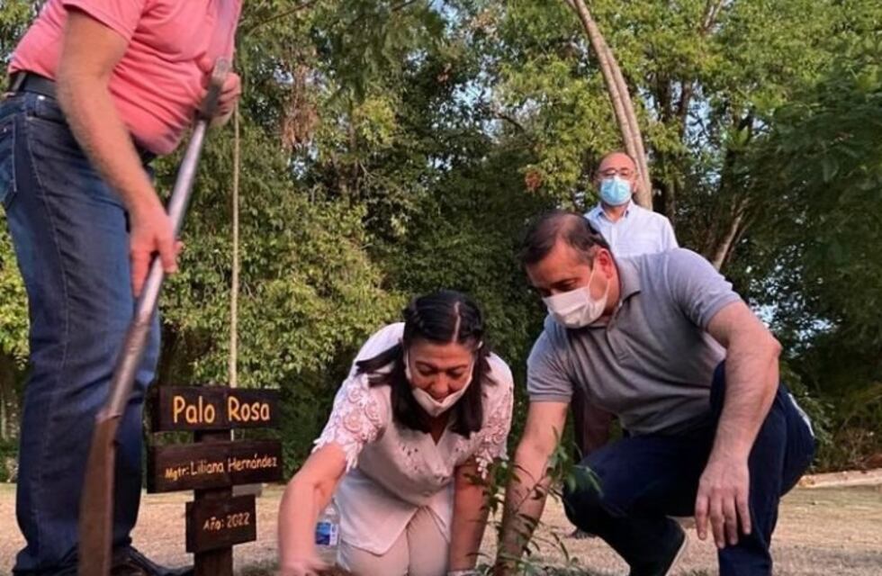 Herrera Ahuad visitó Comandante Andresito, entregó vehículos y plantó árboles en la localidad