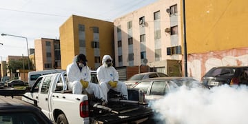 Dengue. Siguen aumentando los casos en todo el país (Archivo).