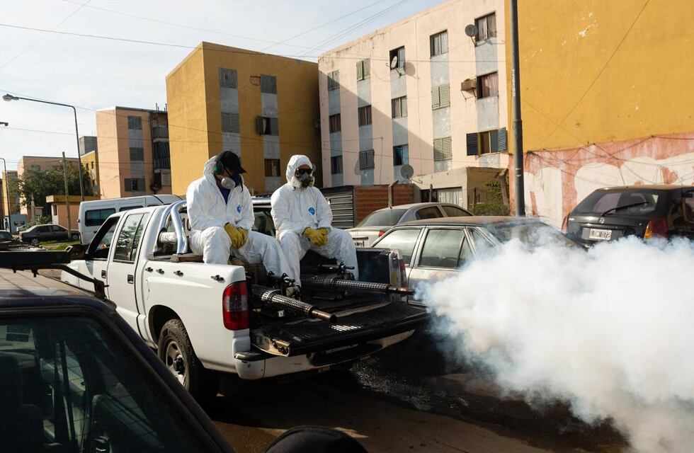 Récord de muertes por dengue en Argentina: se confirmaron los dos primeros fallecimientos en CABA y ya hay 35 en todo el país