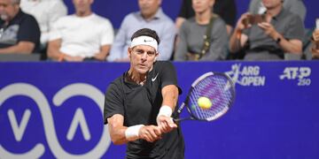 La promesa de Juan Martín Del Potro luego de que Argentina gane el Mundial de Qatar 2022