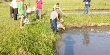 Capacitación en producción acuícola en la comunidad Yryapú.