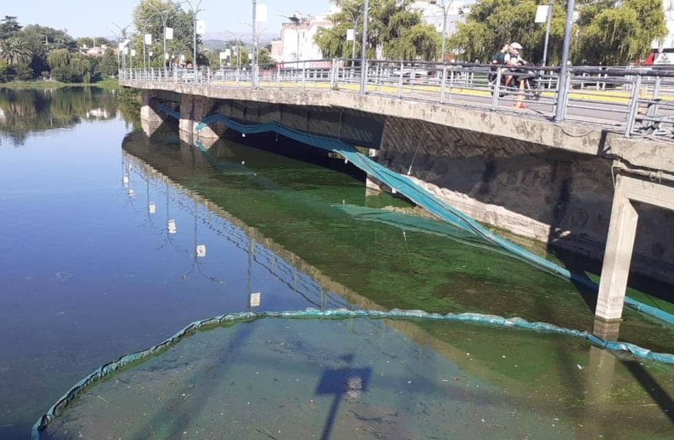 Continúan con la extracción de algas en la zona central y en distintos puntos del lago San Roque