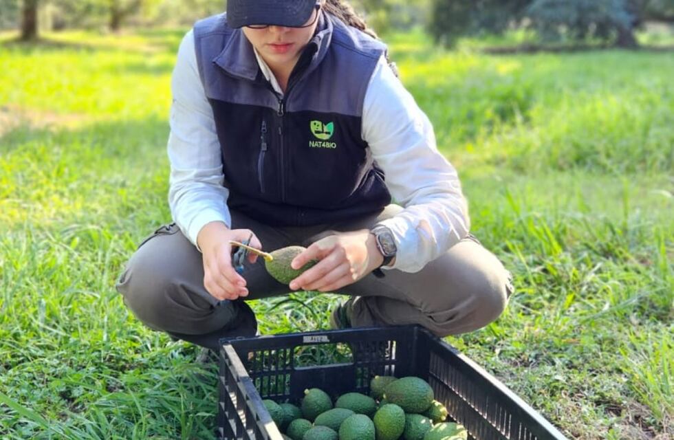 Programa Mujeres Produciendo Alimentos