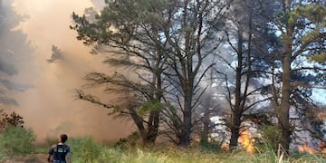 La zona afectada tiene 600 metros de frente y 1.000 de fondo. Se desconoce los motivos del siniestro.