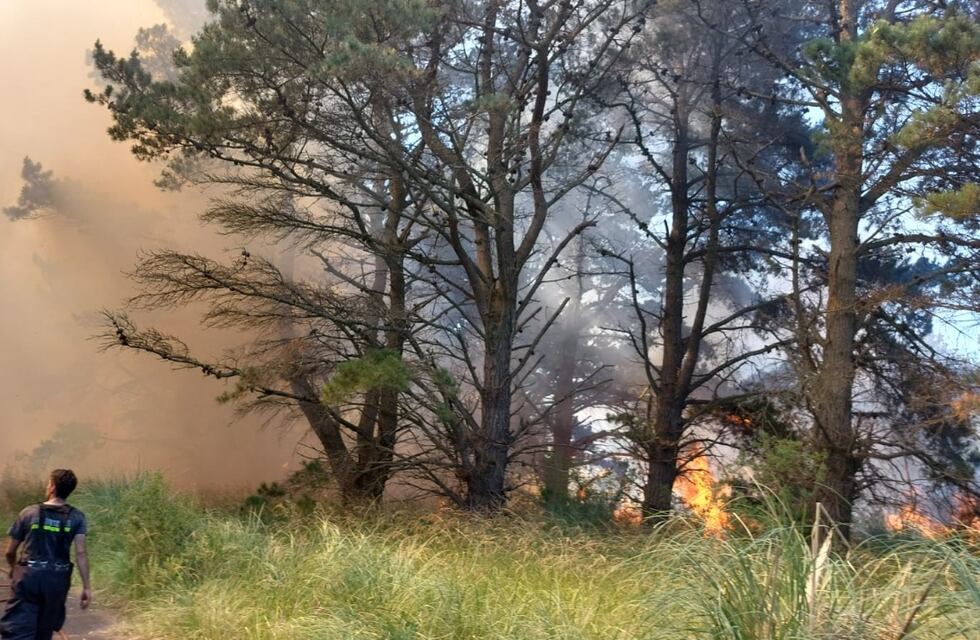 Incendio forestal en El Marquesado