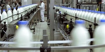 exportación de lácteos