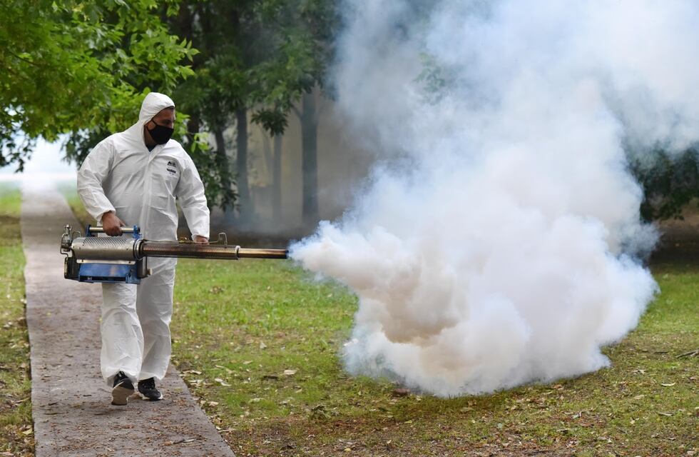 Refuerzan los operativos de fumigación y concientización contra el dengue