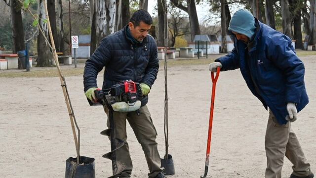 Arroyito nueva plantación de 30 ejemplares de árboles autóctonos en la zona del Balneario.