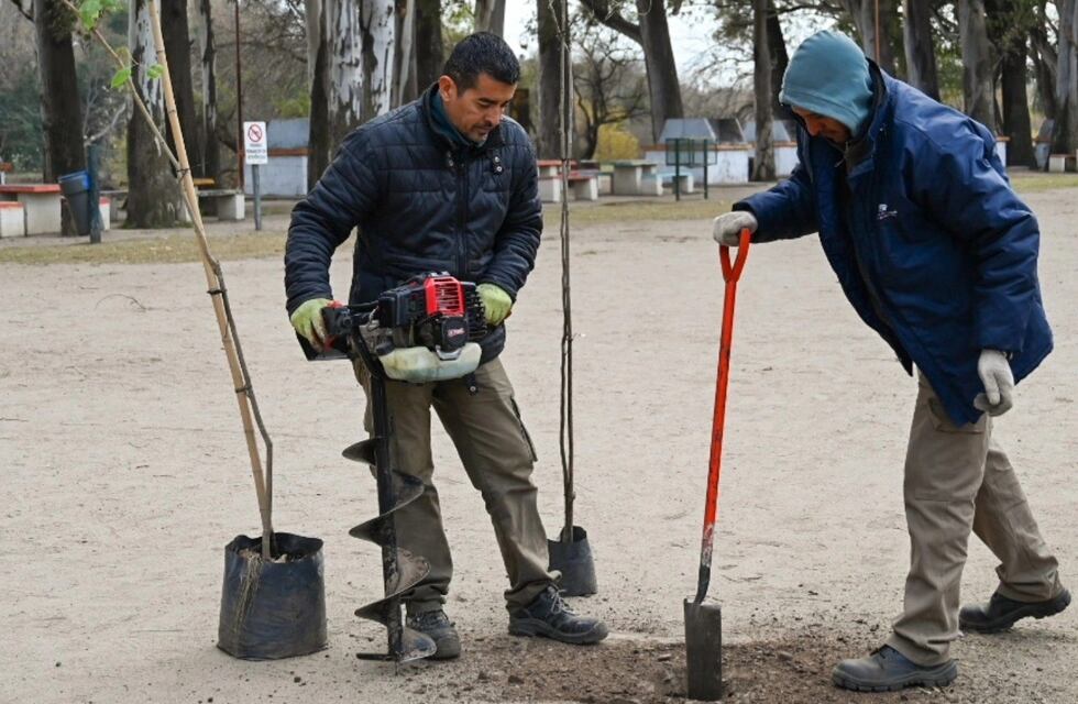 El Municipio colocó 30 ejemplares de árboles autóctonos en la zona del Balneario