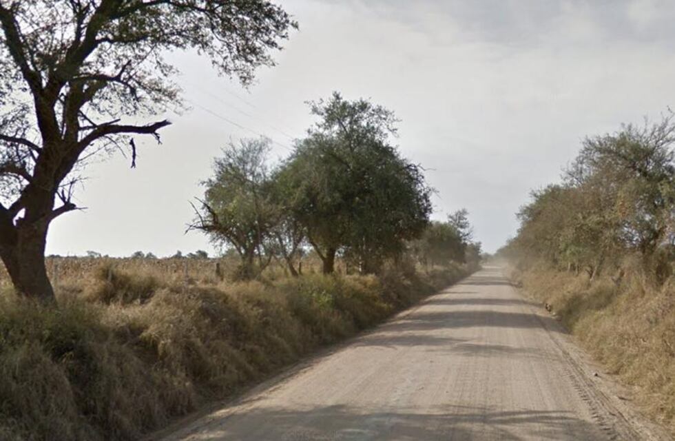 Apareció un pichón de flamenco rosado en Córdoba y provocó la sorpresa de los vecinos