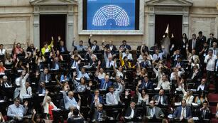 La representante en la Cámara de Diputados hizo un polémico posteo en el marco del 8M./ Foto: Federico López Claro