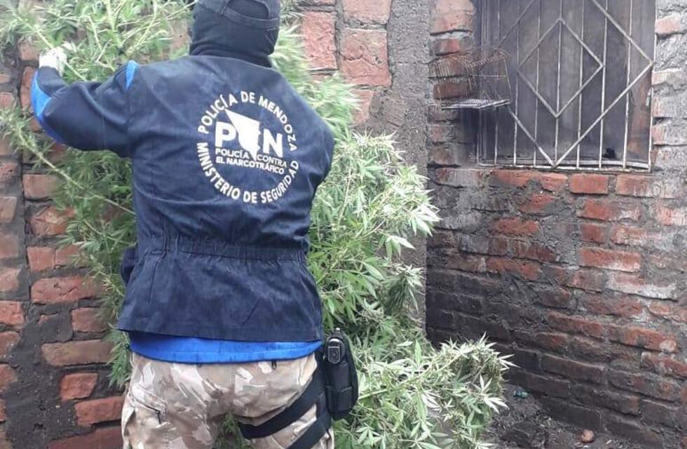 Un detenido de 30 años por venta de droga en Alvear