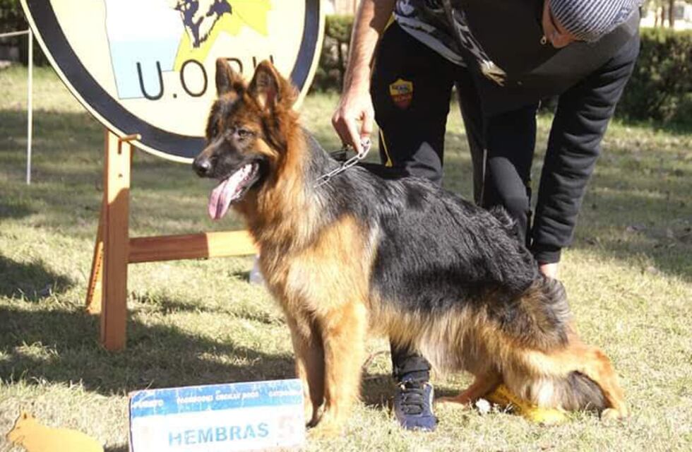 El ovejerismo a nivel nacional se presenta en La Rural