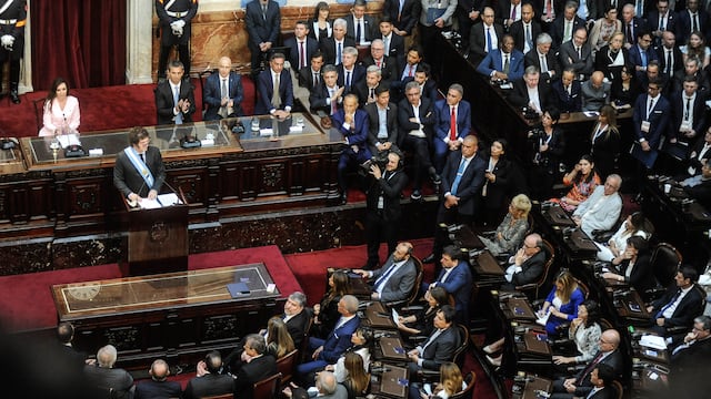 El presidente Javier Milei volverá a enviar al Congreso la "ley ómnibus" (Foto: Federico López Claro)
