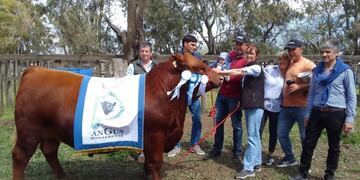 Bajo Hondo tuvo el Gran Campeón Angus en Coronel Pringles