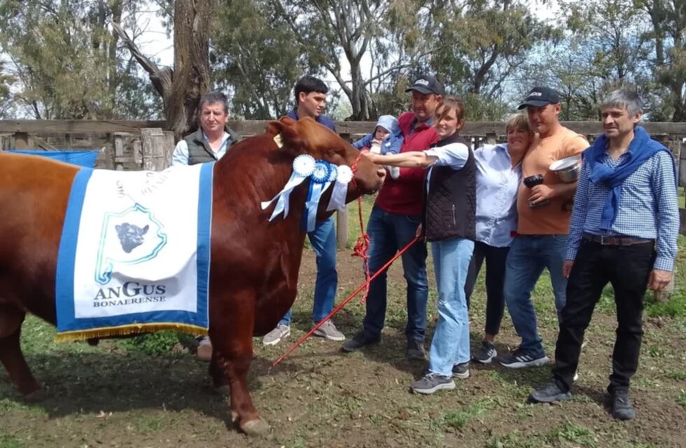 Bajo Hondo tuvo el Gran Campeón Angus en Coronel Pringles