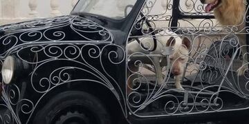 Tuneó su auto de una forma muy particular y fue furor entre los conductores.