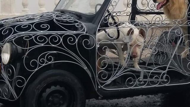 Tuneó su auto de una forma muy particular y fue furor entre los conductores.