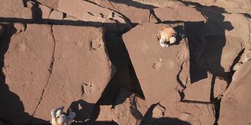 Hallazgo de huellas de dinosaurios