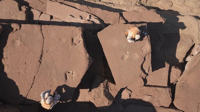 Hallazgo de huellas de dinosaurios